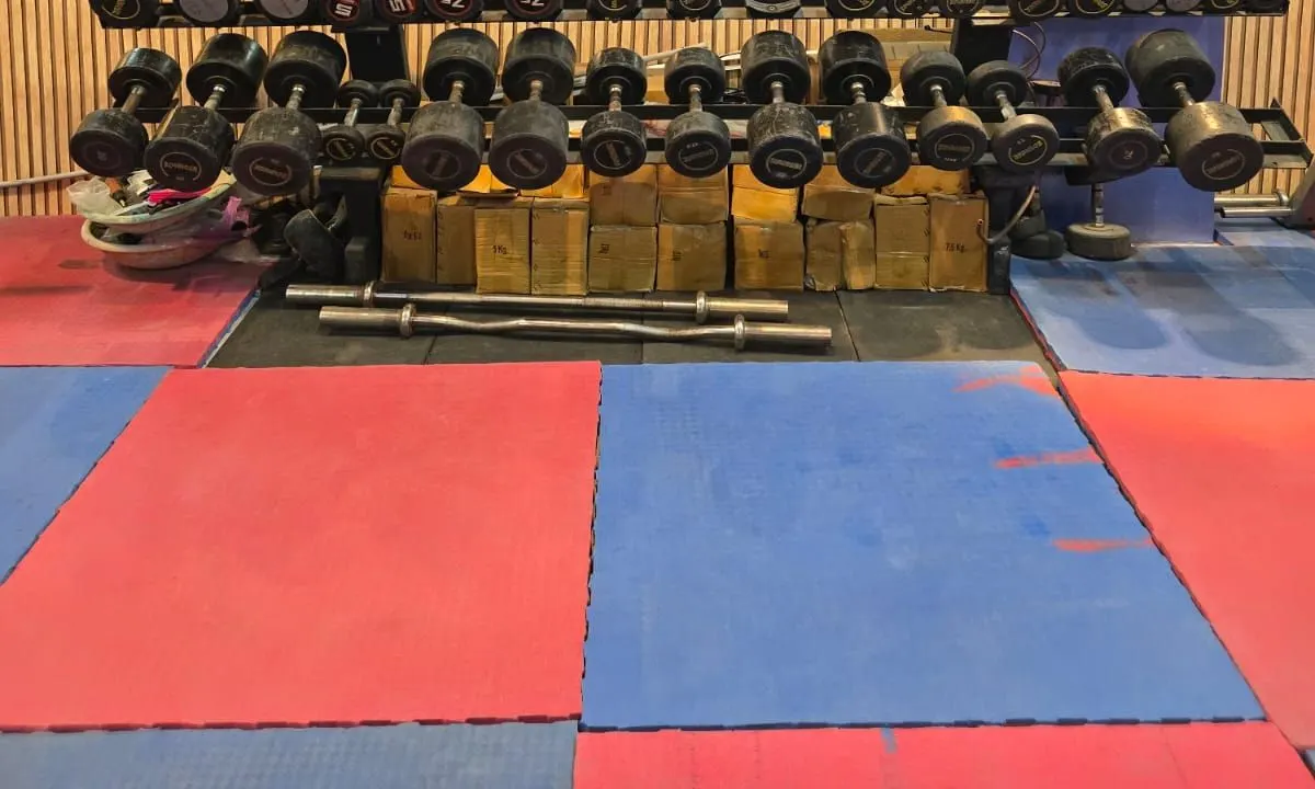 Wall-mounted rack with a full range of dumbbells